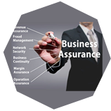 Business Continuity Services